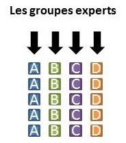 groupe_experts